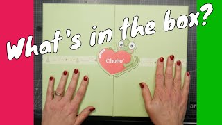 Whats in This Gift Box From Ohuhu?