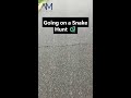 Singing “Snake Hunt” at Acton Midwest