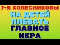 На родных плевать, главное икра \ 7- я семья Колесниковы