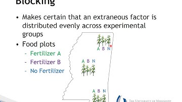 Sampling and Statistical Analysis
