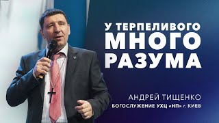 «У терпеливого много разума» / Андрей Тищенко