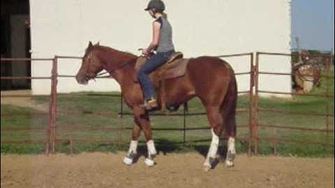 Freckled Miss    ***For up-to-date info, price, etc., go to our website***