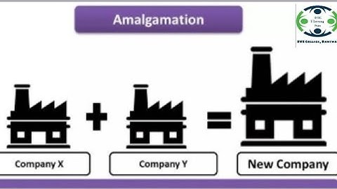 SVSC E-Learning Point : Amalgamation of Companies