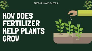 How Does Fertilizer Help Plants Grow?