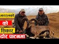 ढोर पाटनमा माउर झारलको शिकार || Hunting At Dhorpatan Nepal || Dhorpatan Hunting || Hunting In Nepal