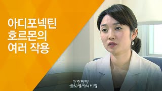 아디포넥틴 호르몬의 여러 작용 - (2010.9.9_343회 방송)_몸의 전쟁 제5편, 다이어트, 그 유혹을 넘어 아디포넥틴 호르몬의 여러 작용 - (2010.9.9_343회 방송)_몸의 전쟁 제5편, 다이어트, 그 유혹을 넘어