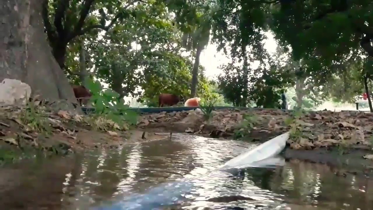 BEAUTIFUL RIVER IN PAKISTAN