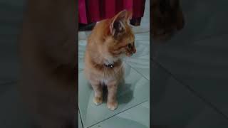 Orenku satu cuma kamu😍