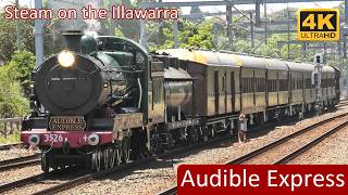 Steam along the Illawarra; Transport Heritage NSW Audible Express with 3526 & 4916 [4K]