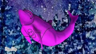 Dolphin On Wheels | Meme | Collab