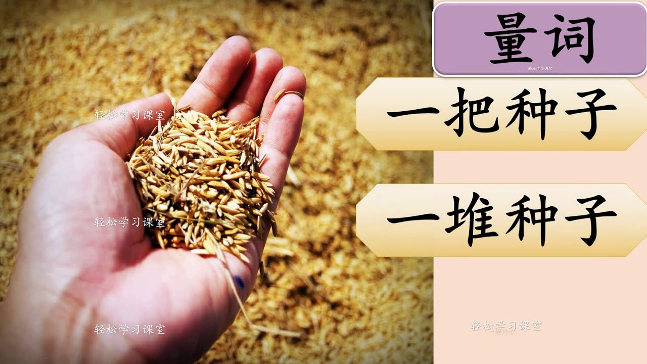 量词练习 1 Measure Words Exercise Learn Chinese Measure Words How to use 把 ...