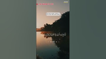 ما تيسر من سورة الزمر الآية [68-69]