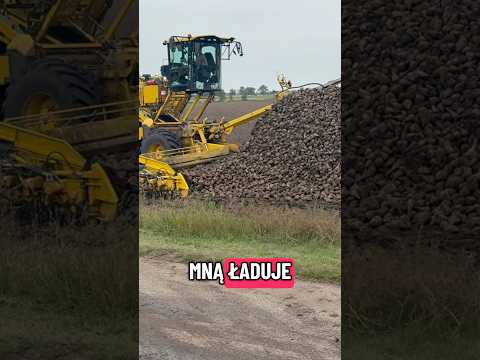 Przyjrzyj Się Co Ta Maszyna Robi Z Tymi Burakami