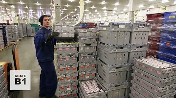 Crate B1 - crate system 5+ by BEPCO