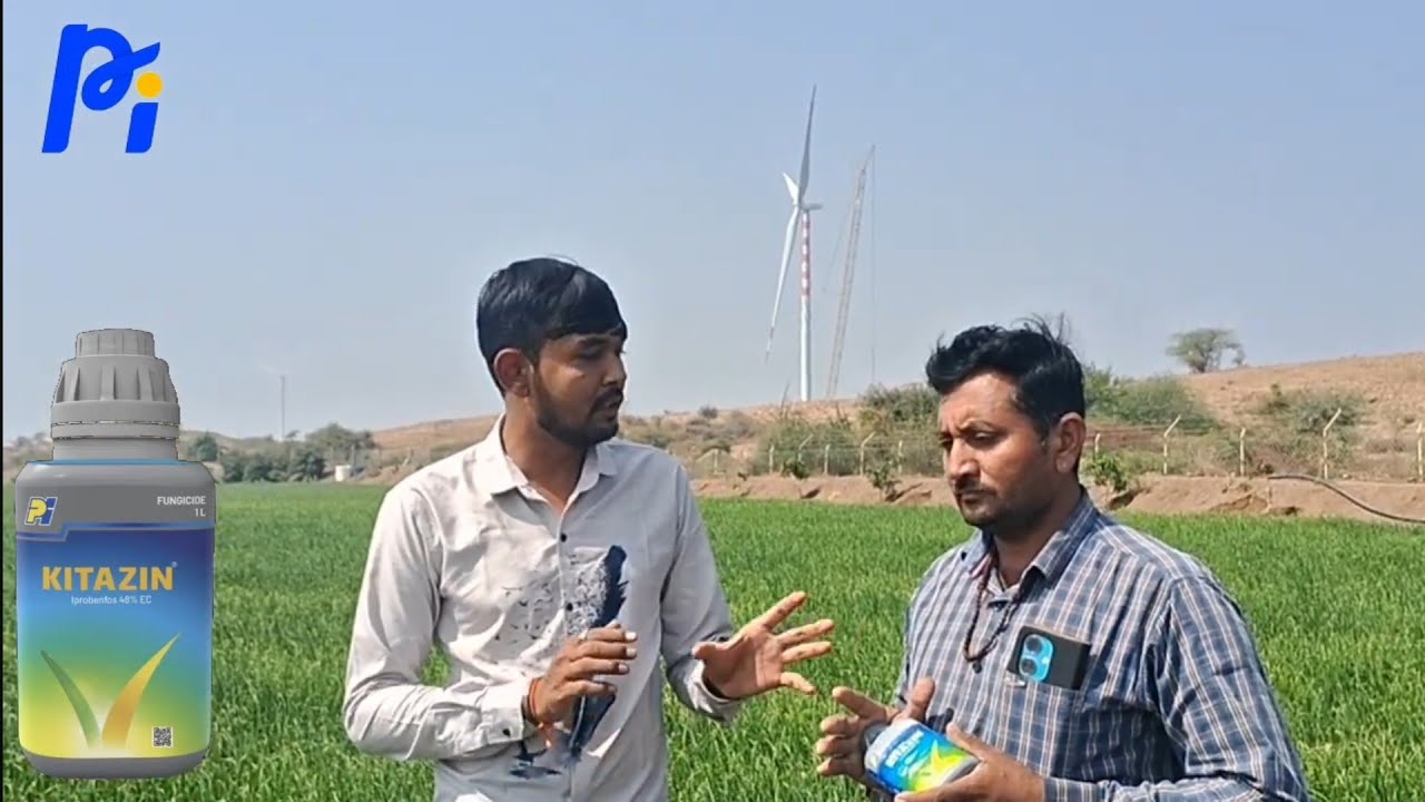 Kitazin ખેડૂત અભિપ્રાય 