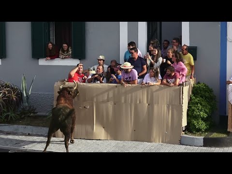 Tourada à corda em São Carlos, 2022