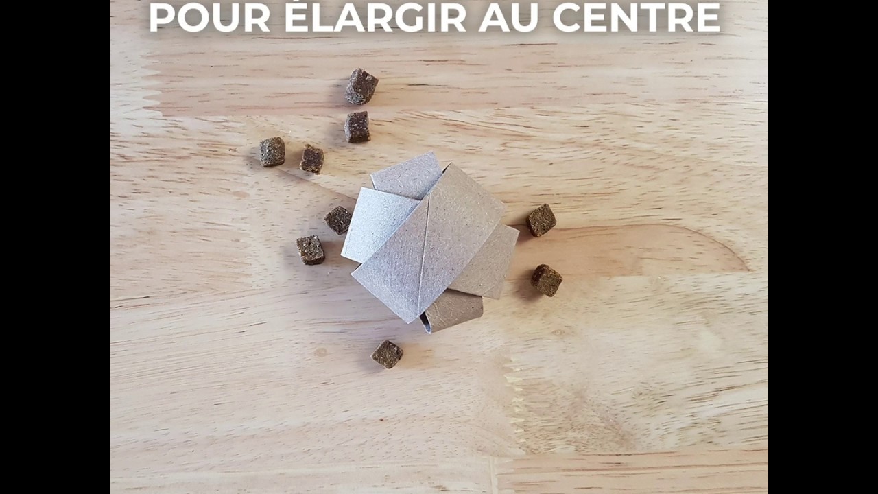 Un jouet pour chats irrésistible