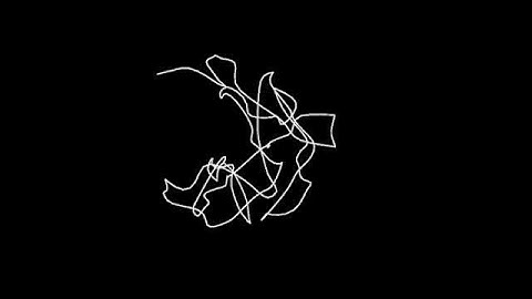 Random Lines: Exploring the Beauty of Unexpected Drawings