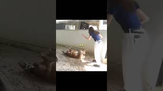 Still Cant Get Over This oombamoomeisayabamsaraleefulfilltheseries