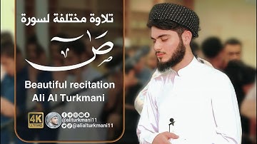 كمية الهدوء لا يوصف لسورة ص " كاملة " علي التركماني  | Ali Al Turkmani