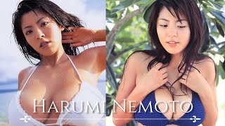 【人物が分かるプロフ付】根本はるみ グラビア写真集 Harumi Nemoto Photo album