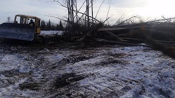CAT D6C KNOCKING DOWN TREES