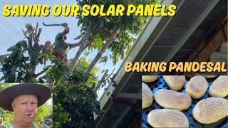 Trimming The Mahogany Trees & Mulching The Branches + Baking Pandesal | Our Simple Farm Life