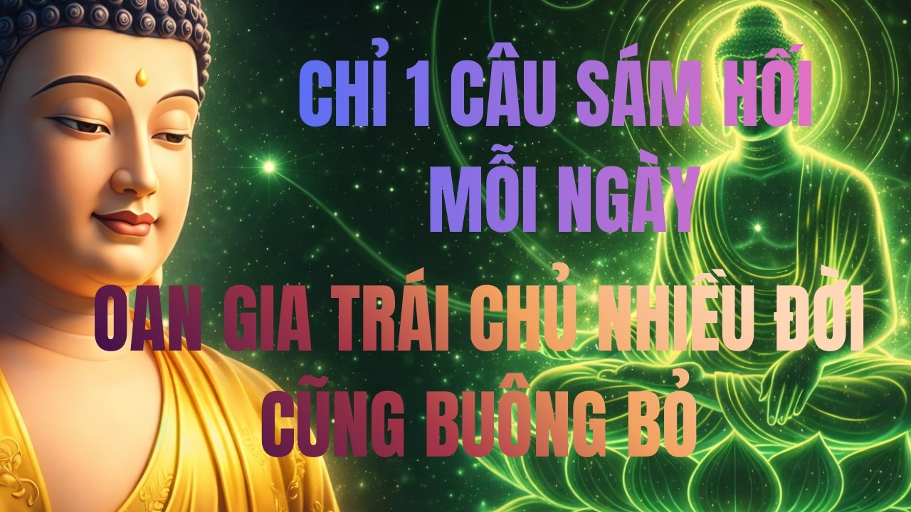 Chỉ 1 Câu Sám Hối Mỗi Ngày – Oan Gia Trái Chủ Nhiều Đời Cũng Dần Buông Bỏ