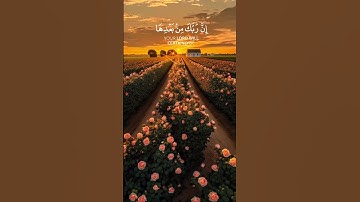 أحمد النفيس || سورة الأعراف || قراء قمة في الجمال