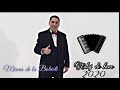 Mircea de la Bobesti 2020 - Colaj de hore ( instrumentala forta acordeon )