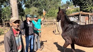 TOEZINHO MORA SOZINHO E  ESTA TENDO DIFICULDADE DE CUIDAR DOS ANIMAIS LEVEI RAÇÃO E OS  VETERINÁRIOS