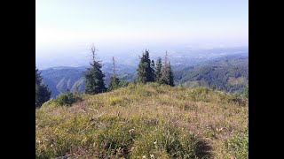 картинка: Смотровая гора - 13072025 #алматы #горы #смотровая гора