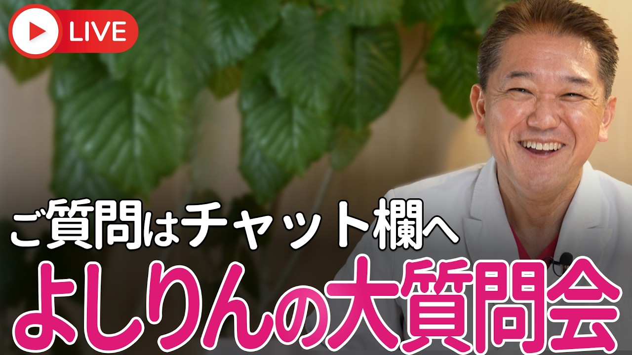 よしりん　椅子 3 Yoshirin's Big Q&A Session! I'll answer your questions directly