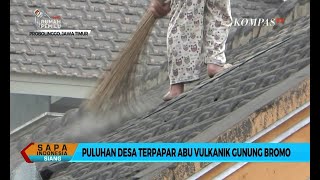 Terus Meluas! Puluhan Desa Terpapar Abu Vulkanik Gunung Bromo