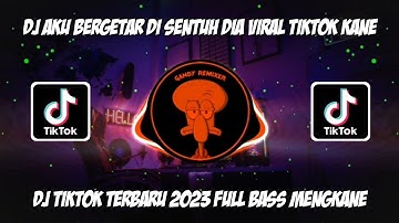 DJ AKU BERGETAR DISENTUH DIA MATAKU TERBANG SAMPAI KELANGIT|DJ PUTRI IKLAN ST12 MENGKANE VIRALTIKTOK