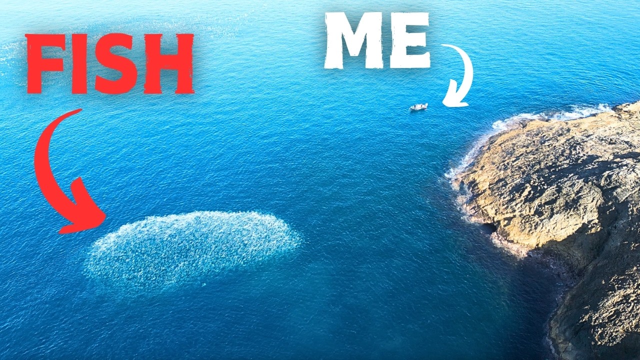 Surviving Solo on Remote Islands: Spearfishing Giant Fish in Pristine Waters