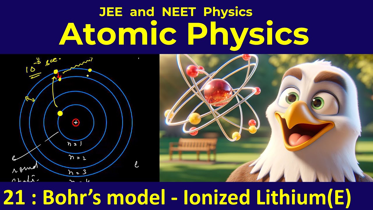 21. Modern physics | Bohr's model of atom | Ionized Lithium | Example ...
