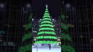 Pittsburgh PA PPG place Christmas tree light up November 18 2022