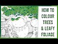 Tutorial how to colour trees  leafy foliage