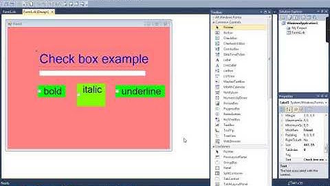 Grade 8- Computer Science -Yamuna -Visual Basic  Chapter3 -Video 1