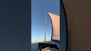 Rüzgar Kuvvetlendi, Cenovayı Bastık