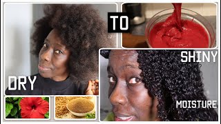 BEST MOISTURE SHINE AND GROWTH/ DIY HIBISCUS DEEP CONDITIONER #fenugreek #naturalhair