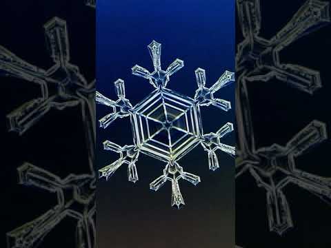 Video: ¿Cómo se ven realmente los copos de nieve?