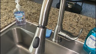 Glacier Bay Market Pull-Down Sprayer REVIEW