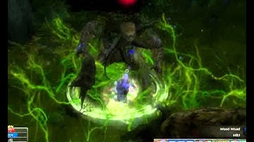 DDO The Druid