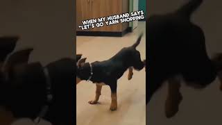 How I Feel When I Am Yarn Shopping