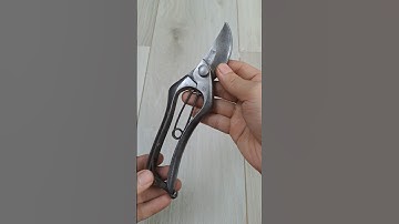 (Đã bán) KÉO CẮT CÀNH ĐÚC XỊN XÒ Chuẩn Nhật 20.5CM - 600K CK BAO SHIP #đồnhậtbãi #kéobonsai #kéocắt