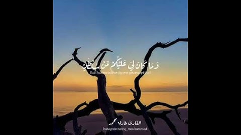 تلاوة خاشعة للقارئ طارق محمد من سورة ابراهيم / حالات واتس اب