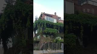 Calle La Pampa Belgrano R IV argentina buenosaires walking shorts walk walkthrough short