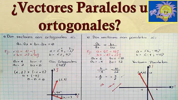 O que determina os paralelos e os meridianos?
